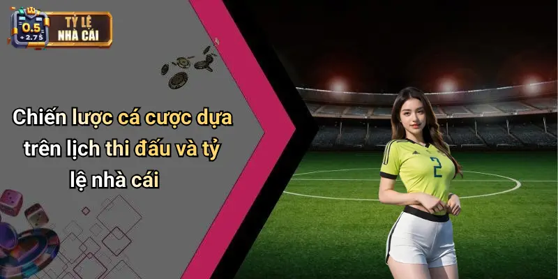 Chiến lược cá cược dựa trên lịch thi đấu và tỷ lệ nhà cái