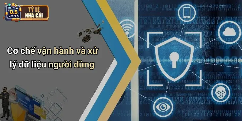 Cơ chế vận hành và xử lý dữ liệu người dùng