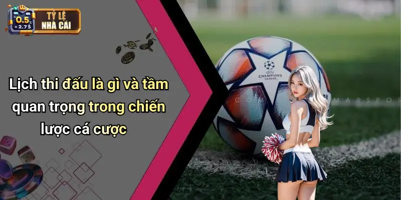 Lịch thi đấu là gì và tầm quan trọng trong chiến lược cá cược