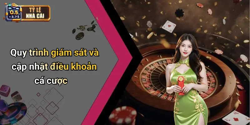 Quy trình giám sát và cập nhật điều khoản cá cược