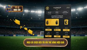 Mẹo cá cược kèo tài xỉu thẻ vàng hiệu quả