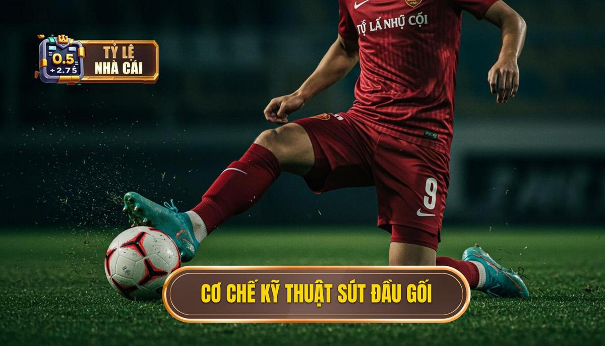 Phân Tích Cơ Chế Hoạt Động của Kỹ Thuật Sút Bằng Đầu Gối