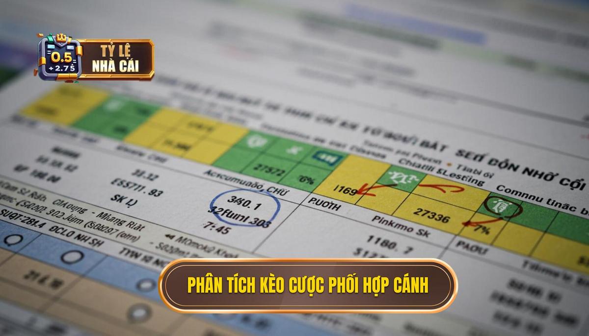 Phân Tích Cơ Bản Về Kèo Cược Phối Hợp Cánh