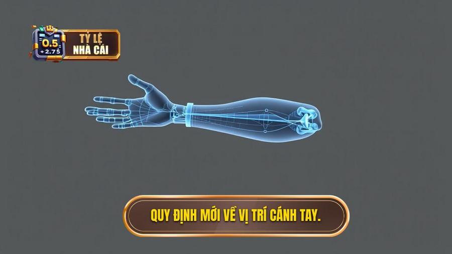 1. Quy định mới về vị trí cánh tay.